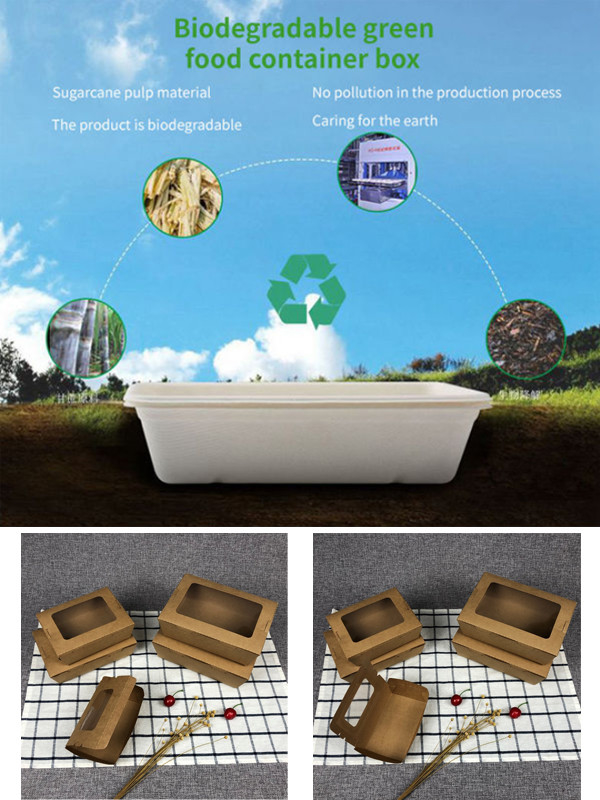 OEM Disposable Food Packaging Containers FSC Sugarcane Disposable Bowl Plates