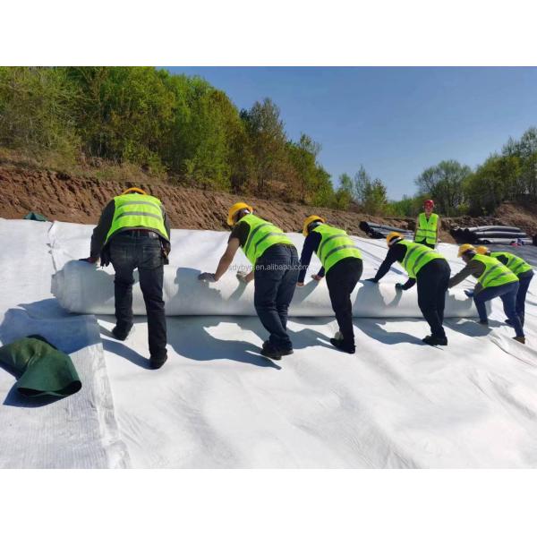 HDPE 3D Composite Drainage Network Geomat The Ultimate Solution for Water Management