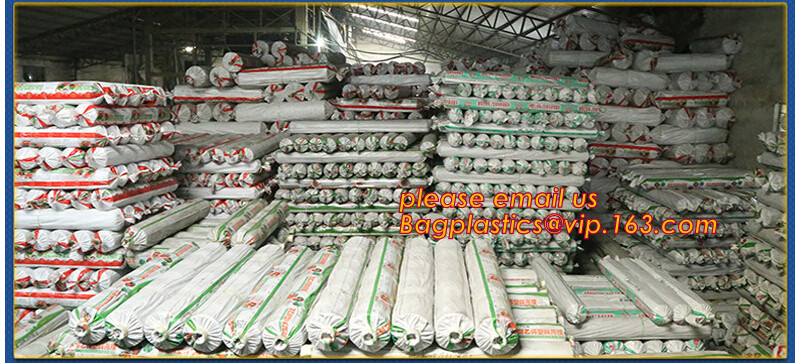 HOTICULTURAL MULCH FILM,AGRICULTURAL PE FILM,MARKET GARDENERS CLOCHE FILM,PE FILM FOR CORN,PLASTIC FILM COVER,TOMATO COV