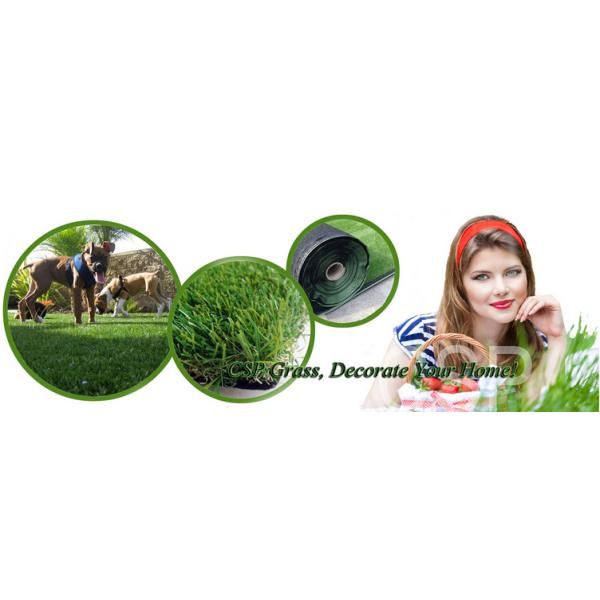 SGS Certificate Artificial Turf Grass Synthetic Carpet Football Court