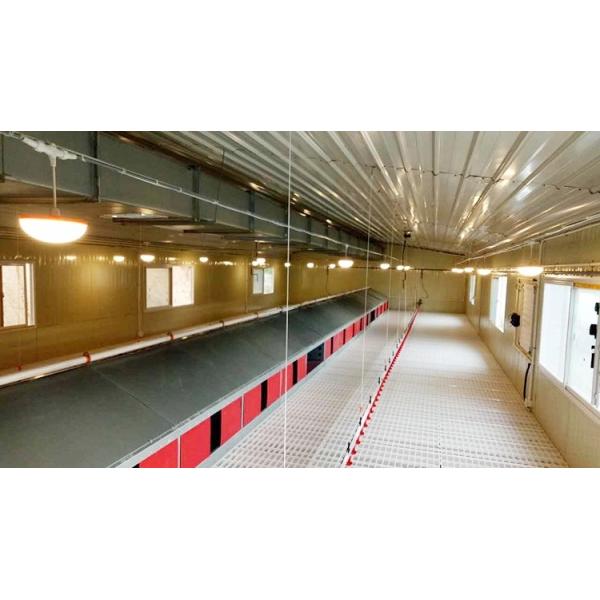 PVC Poultry Farm Equipment