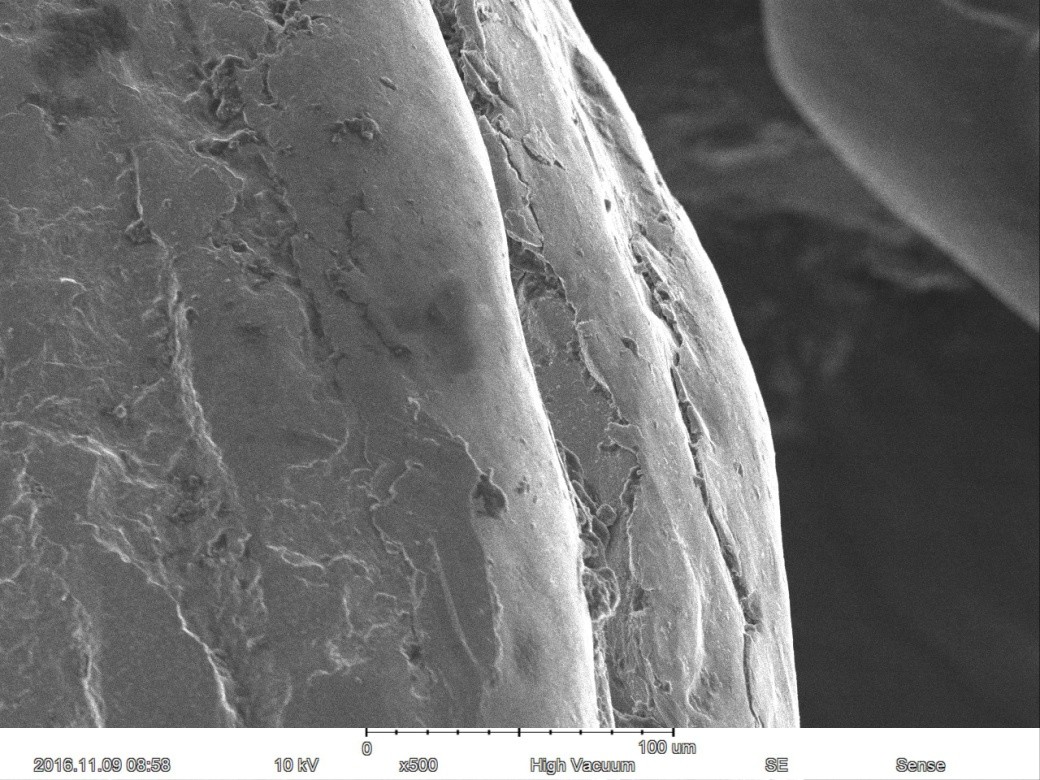 Magnification Max 60000X Scanning Electron Microscope 15nm Resolution Optional EDS