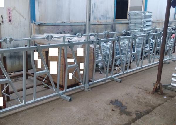 Quality Galvanized Surface Portable Cattle Feeders 5 Cows Feeding Holes For Farm for sale
