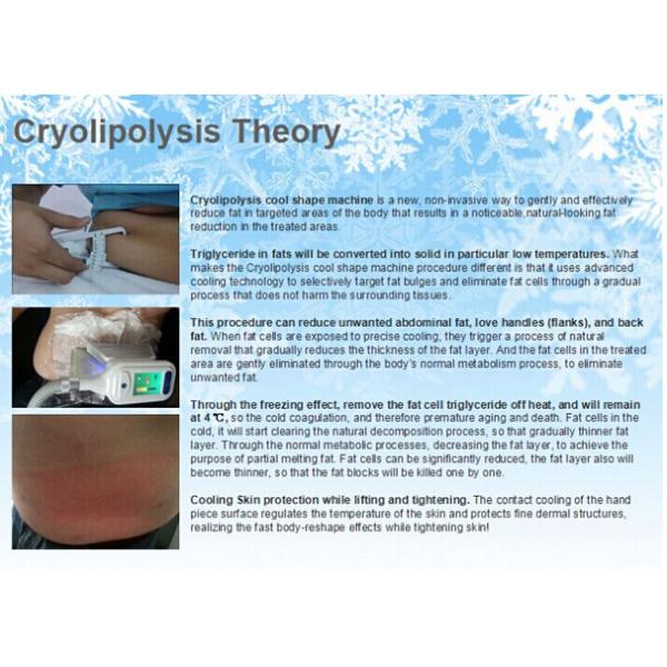 2018 OEM factory price best quality most professional grey Cryolipolysis slimming machine for clinic