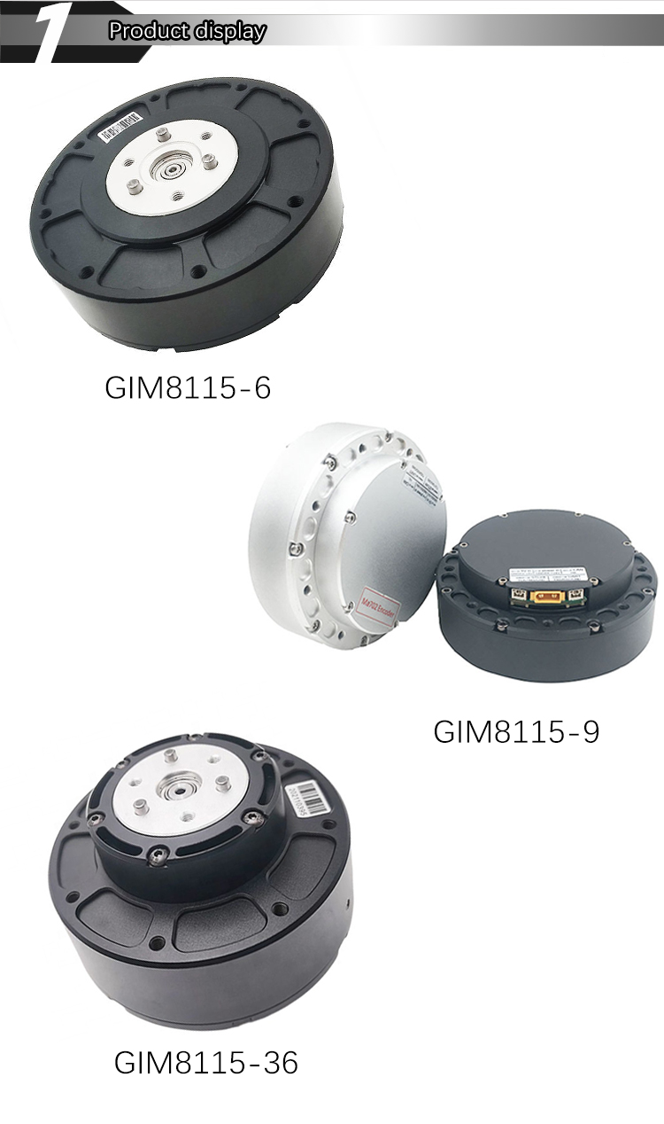 Faradyi Custom Low Speed High Torque Precise Brushless Bldc Drive Gear Robot Motor wWth Encoder