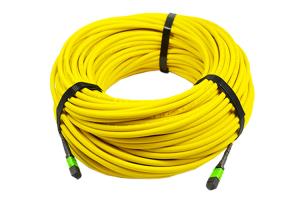 24 Core Fiber Optic To 24F MPO MTP Patch Cord Fiber Trunk Cable