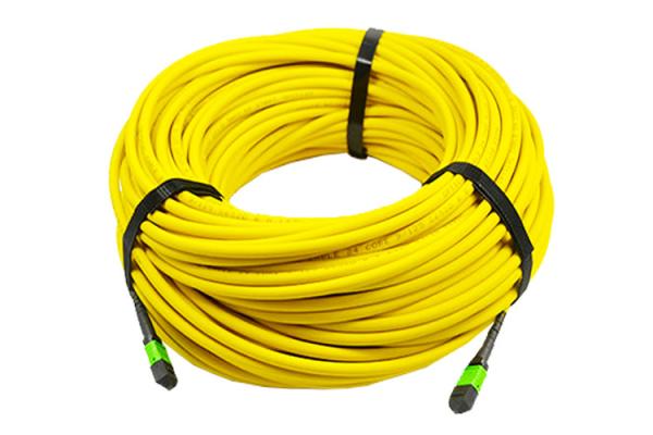 Quality 24 Core Fiber Optic To 24F MPO MTP Patch Cord Fiber Trunk Cable for sale