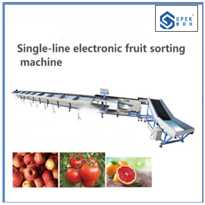 Customized Fruit Vegetable Grader Machine With Siemens Color Touch Screen