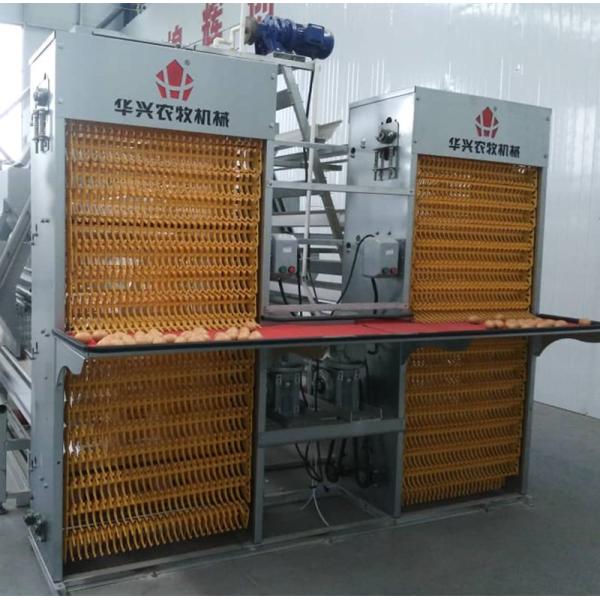 96-160 Birds A Type Poultry Cage Full Automatic High Rearing Efficiency