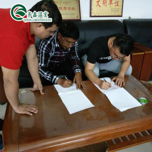 PO Single Layer Greenhouse for Agriculture Boost Agricultural Production