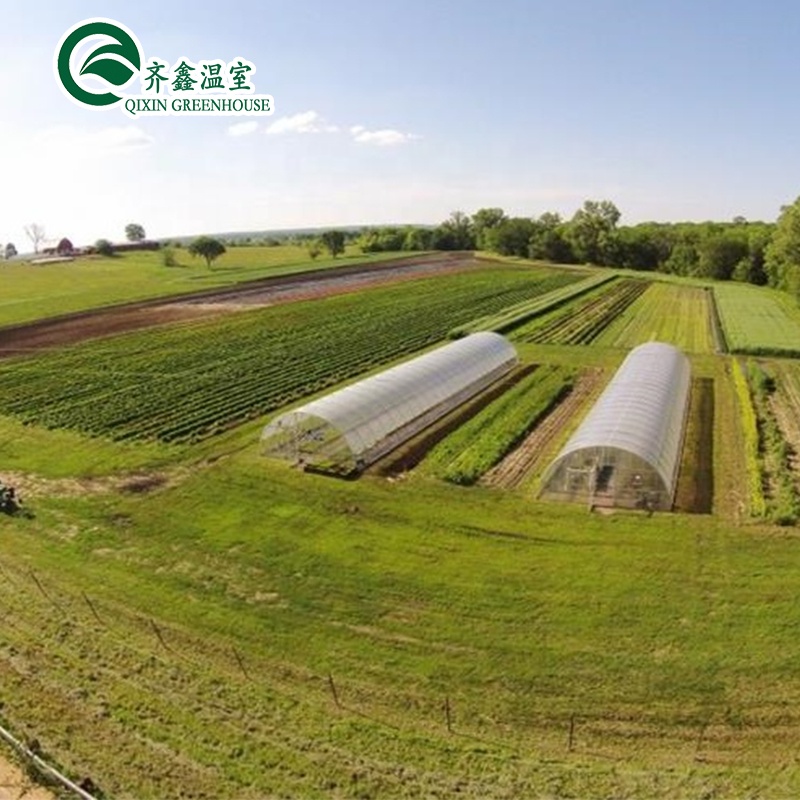 PO Single Layer Greenhouse for Agriculture Boost Agricultural Production
