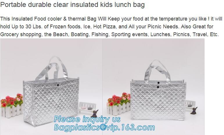 Customized logo printing insulated food delivery cooler bag,wholesale waterproof food delivery thermal bags bagplastics