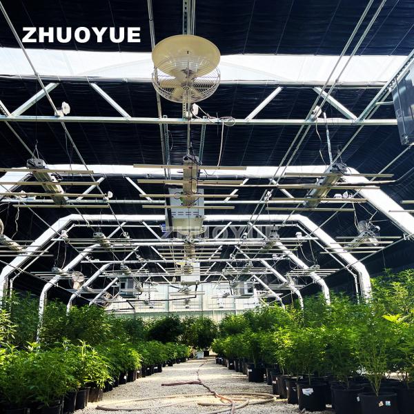 Quality Automatic Light Deprivation Greenhouse with Glass or Plastic for Pest CO2 Humidity Control / Monitoring System for sale