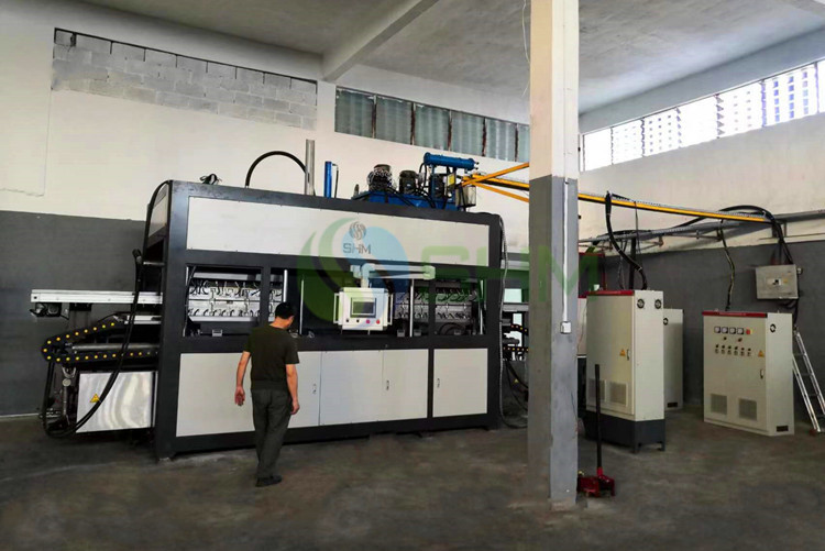 Best Disposable Paper Lunch Box Making Machine Using Bagasse Pulp