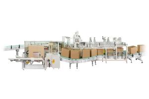 China Drop Type Case Packer wholesale