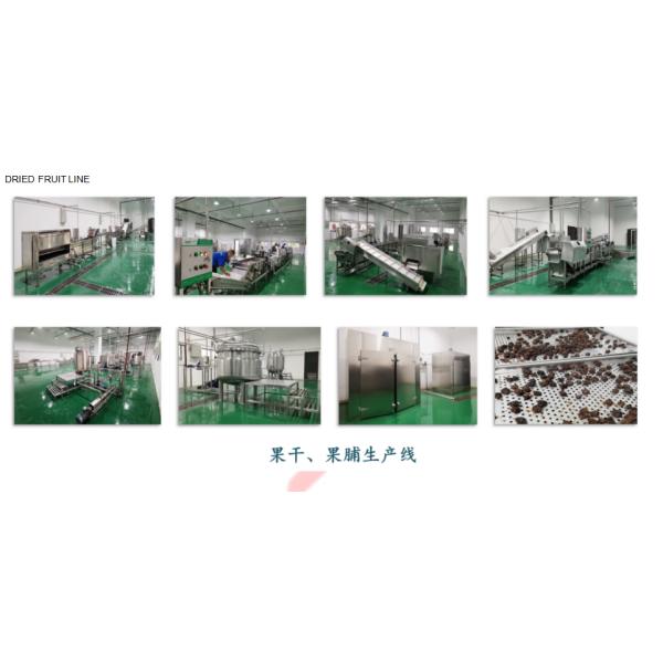 Dried Pineapple Slice Fruit Processing Line With Bag Packing