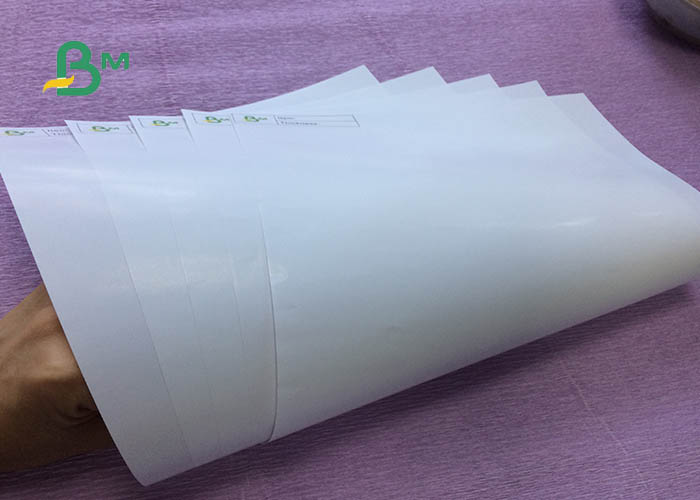 glossy art paper