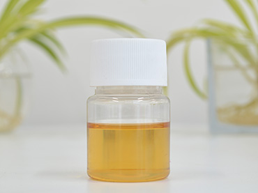 Supercritical CO2 Extraction Cinnamon Oleoresin