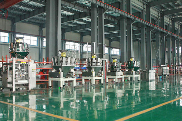 Powder, Nuts, Spices, Rice, Beans, Chickpeas, Bars 10 Head Weigher&Packaging System 1