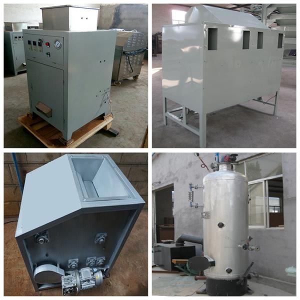 Food Baking Nuts Processing Machine 2000kg 1000kg Hour Cashew Nut Production Line