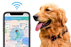 4G Waterproof Gps Tracker For Dogs