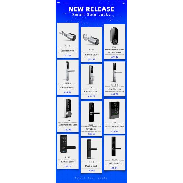 OEM Remote Control Smart Lock Home Security Fingerprint Biometric Door Lock