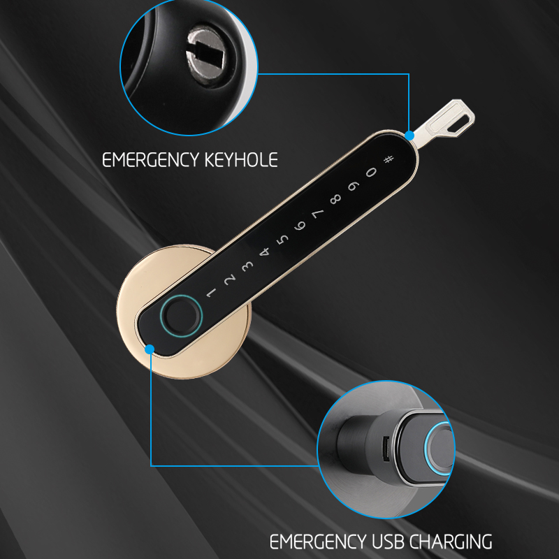S604L Fingerprint Door Locks Tuya Smart Lock Door Thickness 35mm-55mm