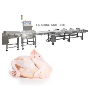 China PLC Automatic Weight Sorting Machine Chicken Whole Meat Grading Machine wholesale