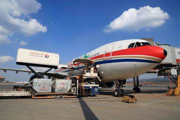 Logistics Intermodal Freight Transport Low Shipping Cost Multiple Modes