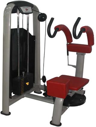 Quality Rotary Torso for sale