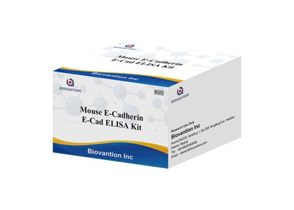 Quality Mouse E Cad E Cadherin Elisa Kit Research Use Only Sandwich Method for sale