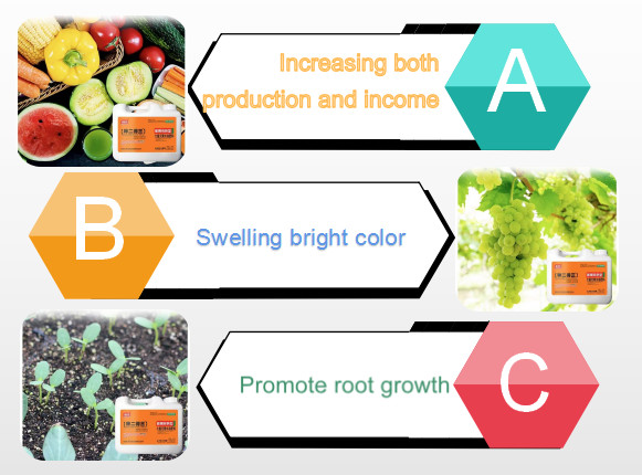 Agriculture 100% Water Soluble Liquid Seaweed Extract Fertilizer