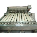 1Ton-5Ton Fish / Shrimp Grading Machine Shrimp/Fish Sorting MachineHigh Sorting