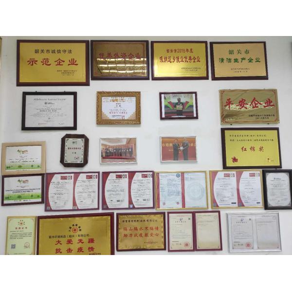 25% Viscose 75% Polyester Fibre Spunlace Nonwoven Germany TrüTzschler