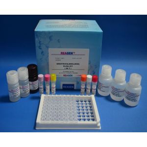 Buy cheap Kanamycin ELISA Test Kit Drug Plasmid Detection With TMB Substrate from wholesalers