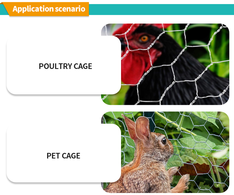 Factory Sale Various Diamond wire mesh hexagonal wire mesh for chicken and pets