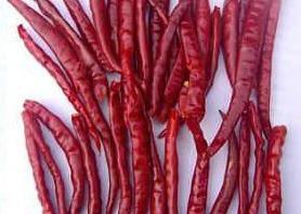 China 30000SHU Chinese Dried Chili Peppers Pungent Red Chili Pods Hot Tasty wholesale