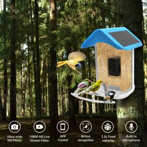 China Solar Smart Bird Feeder Camera Auto Capture Bird Videos &amp; Bird Motion Detection AI Identify Species wholesale