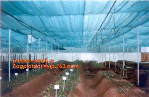 China agriculture anti insect net on roll insect proof mesh for greenhouse,Greenhouse Anti Insect Netting /Agriculture Netting wholesale