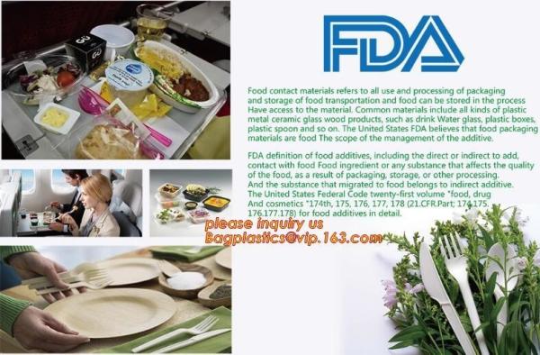 Quality corn starch dinnerware sets biodegradable cake tray, Corn Starch White Molded Fiber Pulp Rectangular Tray Paper Food Tra for sale