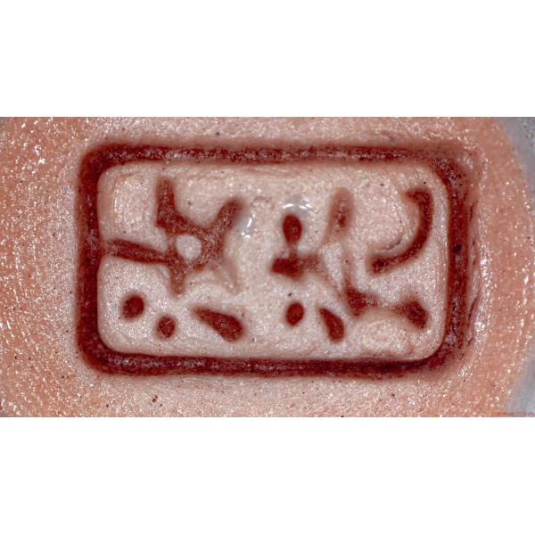 HDMI 1200x Electronic Digital Microscope Camera With Display 12MP Polarizer