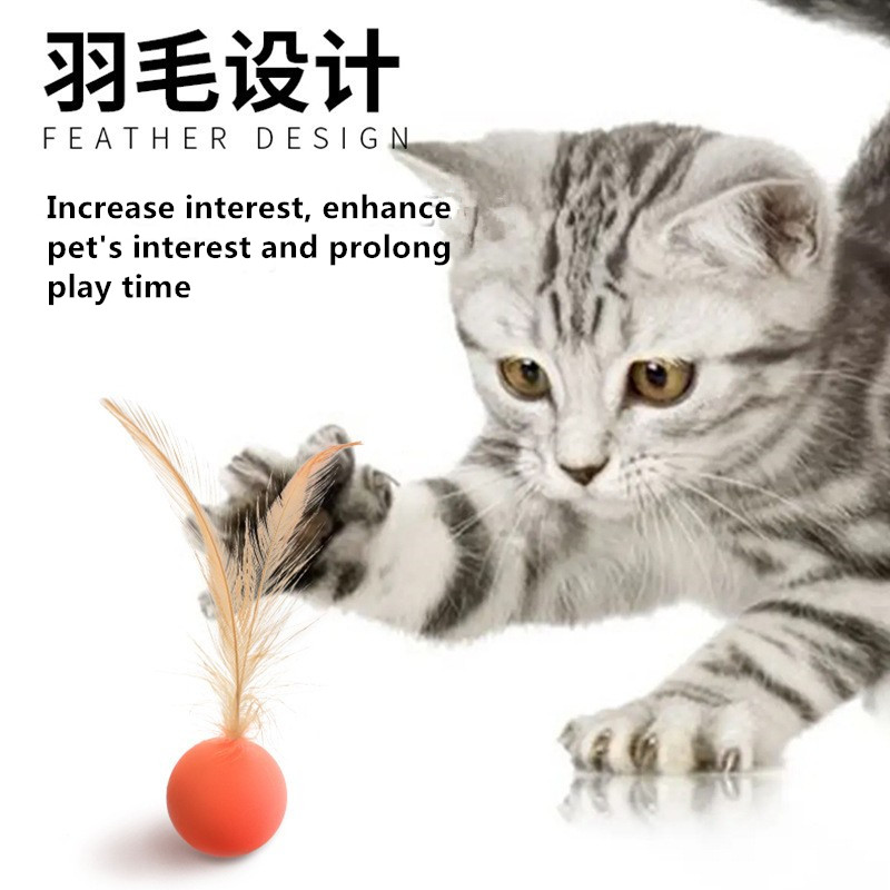 cat balls amazon 