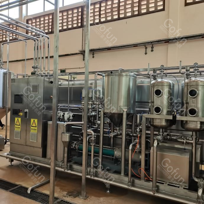 Automatic 10T/H Mango Processing Plant 440V Puree Processing Line