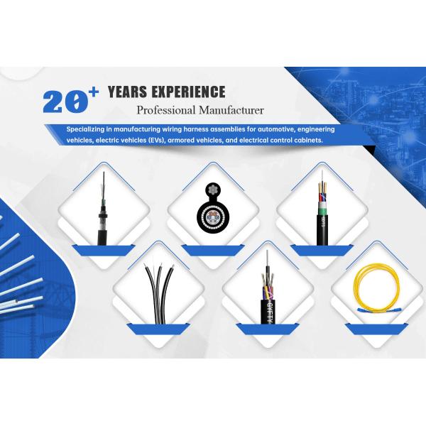 CLF Manufacturing Custom Customized Automotive Cable Assemble Line Wiring Harness Cable Assembly Auto Electrical Wire Harness