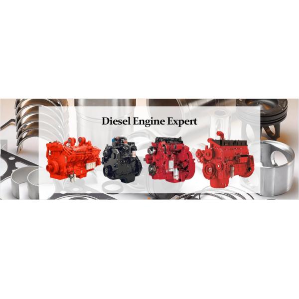 DCEC Cummins Marine Engine Assembly QSL8.9 QSL9