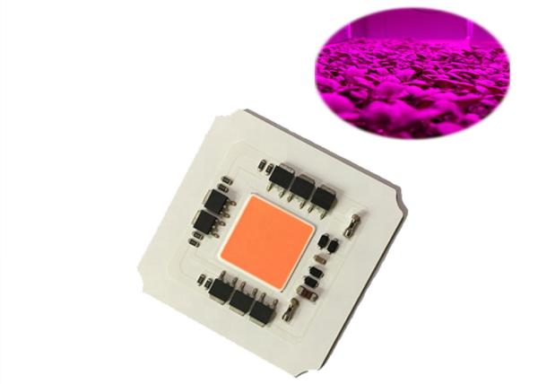 Quality High Efficiency Driverless 100W AC220v 380-780nm COB Led Full Spectrum Grow Light Chip for Led Plant Growing Light for sale