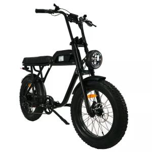 China Customisable 48V 1000W Vintage Electric Motorbike with 20" Wheels and Large Size Tyres Beach Bikes Cruisers wholesale