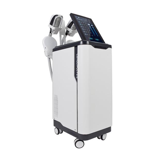 Quality Cool Sculpting EMS Slimming Laser Machine Non Invasive Eliminating Fat for sale