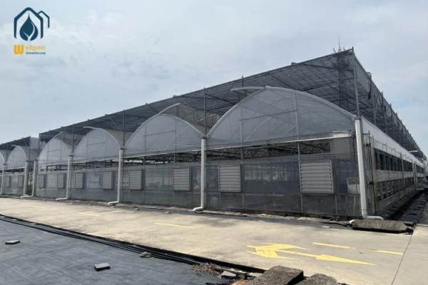 Quality Commercial Multi Span Large Scale Greenhouse With Automatic Watering System for sale