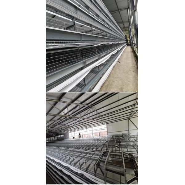 Galvanized Steel Poultry Environmental Control System 5 Layers Battery H Type Hens Cage For Egg Chicken